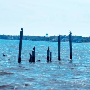 Meet your Posher, De.